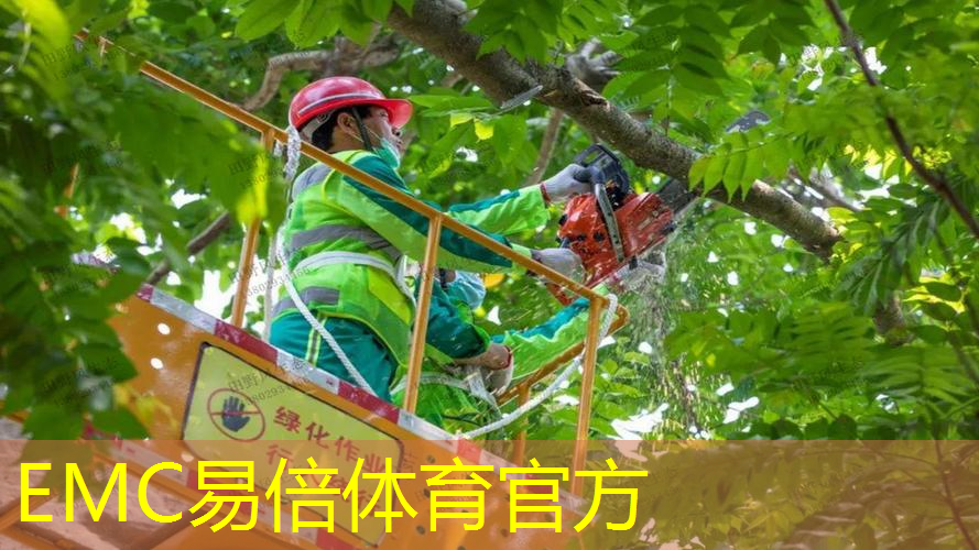 泰安市泰山景区翠竹绿化工程