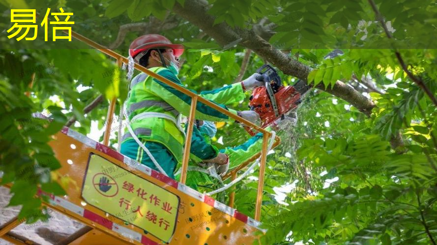 马鞍山道路立体绿化工程