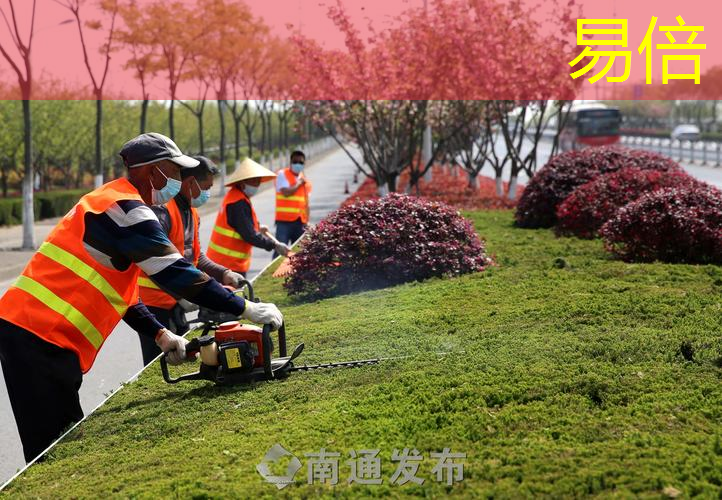 新乡市绿化工程管理处位置